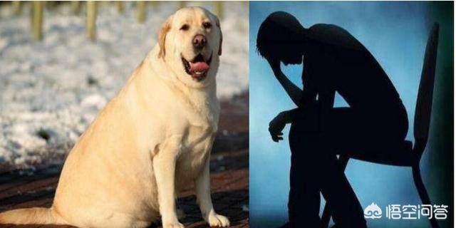 20221115194038_96077 20221115194038_96077