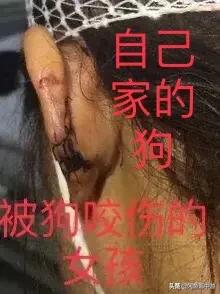 20221115201238_27917