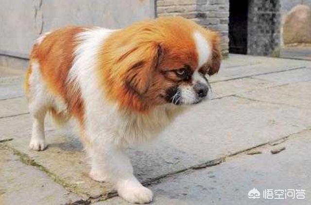 20221115201239_93882