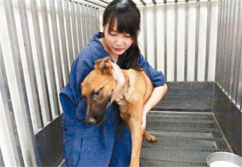 爱狗网论坛(长沙爱狗网) - 警犬训练器材厂家 _警犬训练用品_工作犬训练用品-南京开久警犬装备-警犬训练器材厂家 _警犬训练用品_工作犬训练用品-南京开久警犬装备