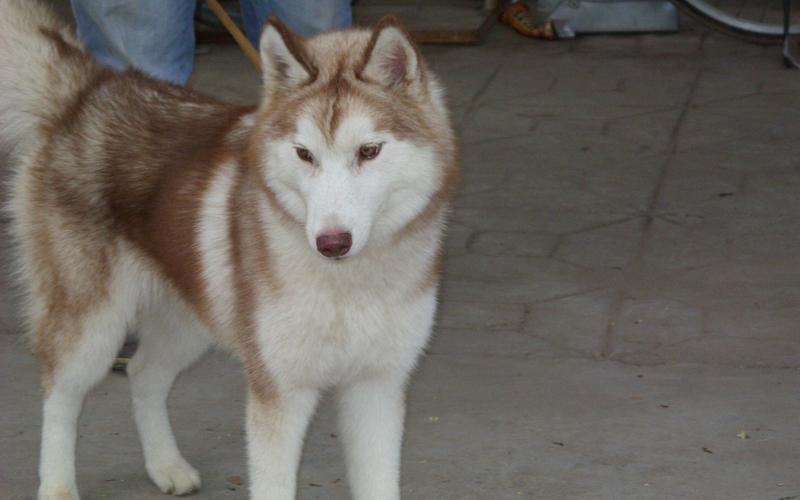 20221115202127_22869