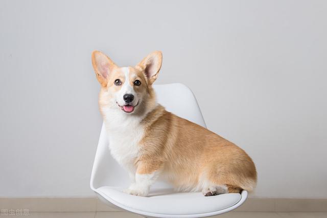 20221115210533_80401 20221115210533_80401