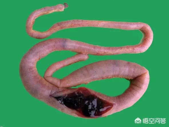 20221115210842_18579