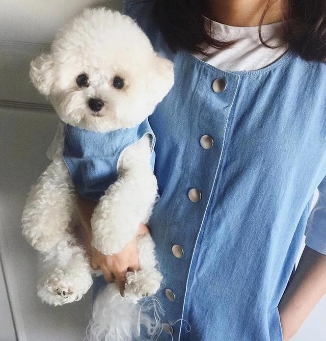 20221115212352_52846 20221115212352_52846