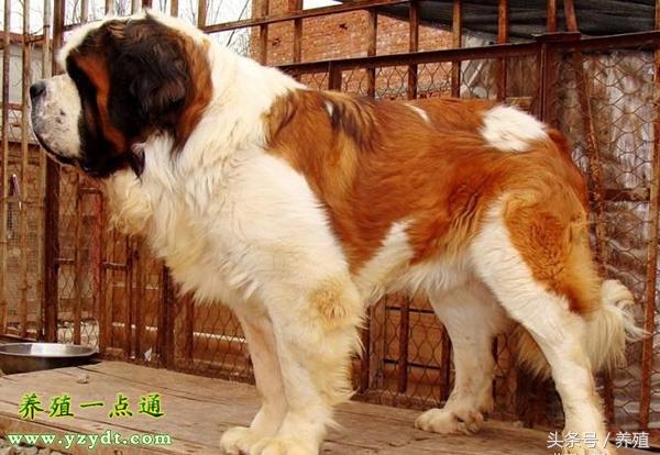 20221115214159_69773