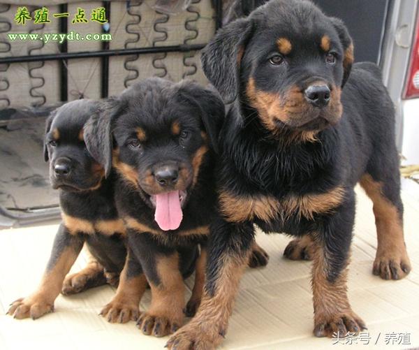 20221115214200_32672