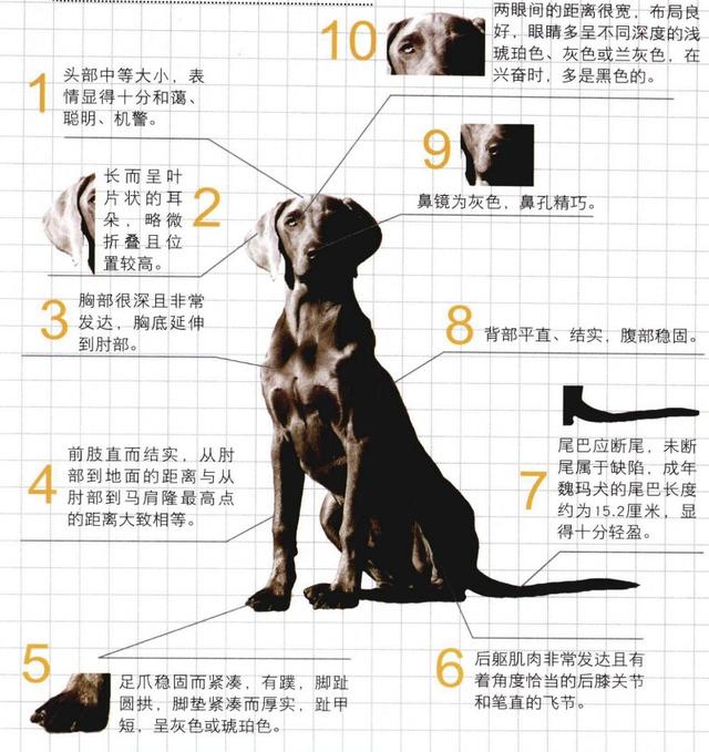 20221116090405_85621 20221116090405_85621