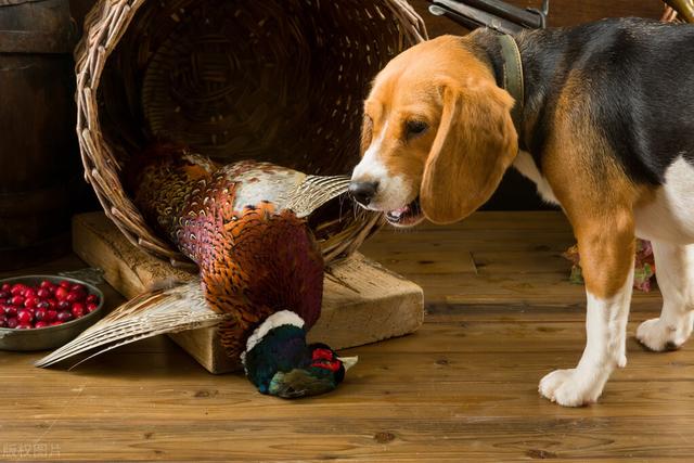 20221116142455_53340 20221116142455_53340