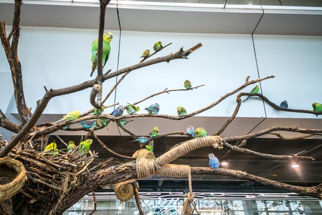 20221116143950_27640 20221116143950_27640