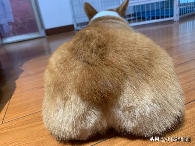 20221116170906_55037 20221116170906_55037