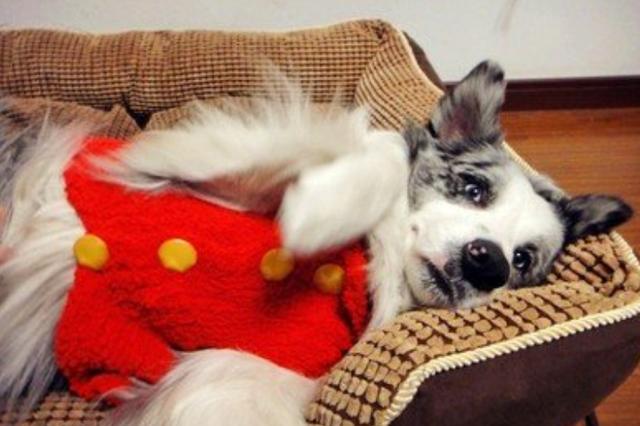 20221116172039_33631