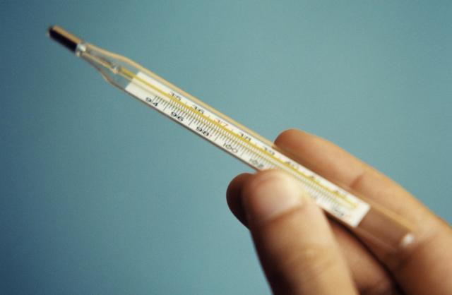 狗狗感冒都有什么药物(狗狗感冒会出现什么症状) - 警犬训练器材厂家 _警犬训练用品_工作犬训练用品-南京开久警犬装备-警犬训练器材厂家 _警犬训练用品_工作犬训练用品-南京开久警犬装备