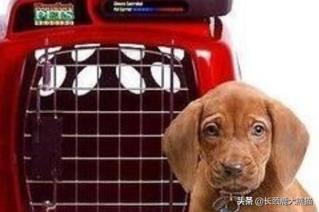 20221116194627_94285