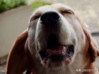 20221116194628_18791