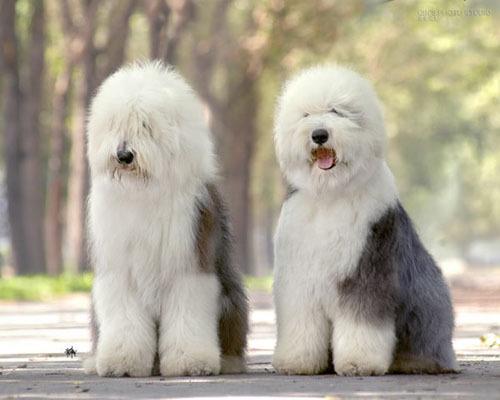 20221116195754_70737