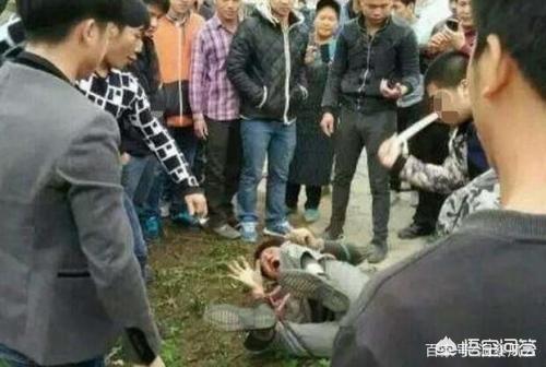 偷狗被村民打死怎么判刑(广州一男子偷狗被村民打死) - 警犬训练器材厂家 _警犬训练用品_工作犬训练用品-南京开久警犬装备-警犬训练器材厂家 _警犬训练用品_工作犬训练用品-南京开久警犬装备