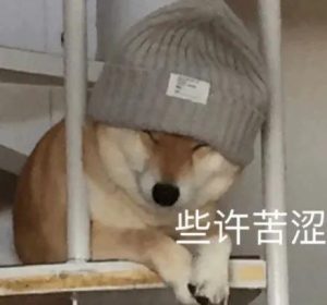 关于狗的段子(关于狗的段子 梗)-警犬训练器材厂家 _警犬训练用品_工作犬训练用品-南京开久警犬装备