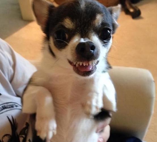 20221117111200_17088 20221117111200_17088