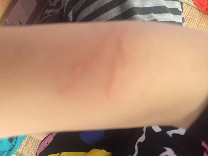 20221117133601_61130