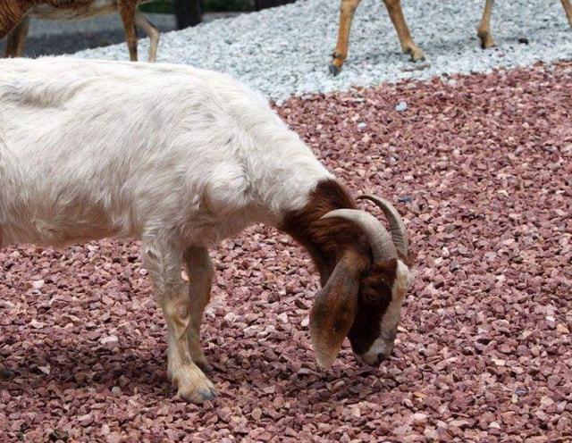 20221117150853_50621