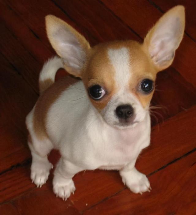 20221117154421_77974 20221117154421_77974