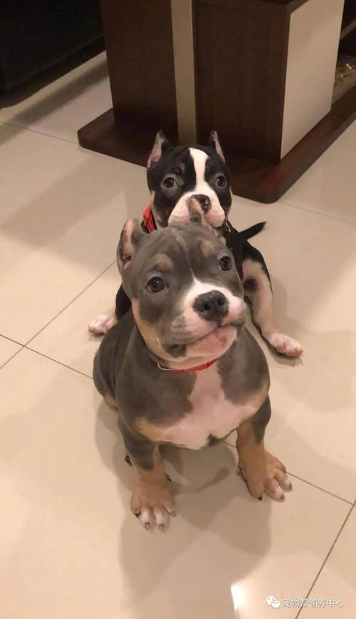 20221117175043_60982