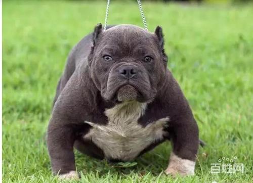 20221117175043_75273