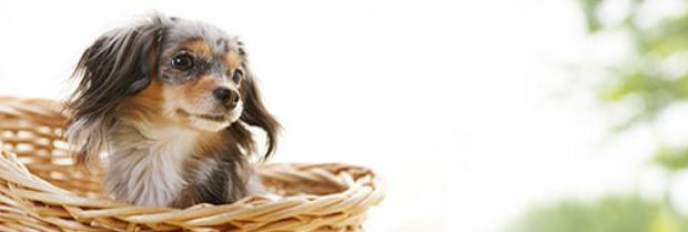 20221117182003_80825 20221117182003_80825