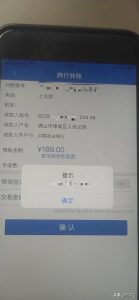 如何带狗狗坐飞机?小狗坐飞机-警犬训练器材厂家 _警犬训练用品_工作犬训练用品-南京开久警犬装备