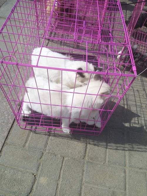 20221117183223_96871 20221117183223_96871