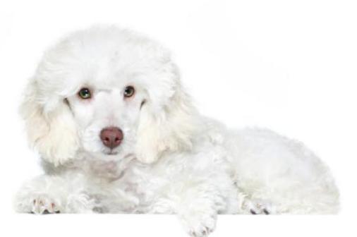 20221117183517_89125