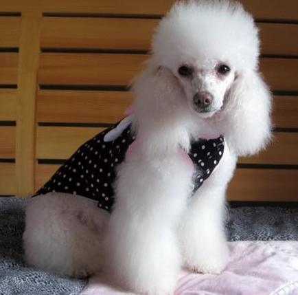 20221117183518_99553