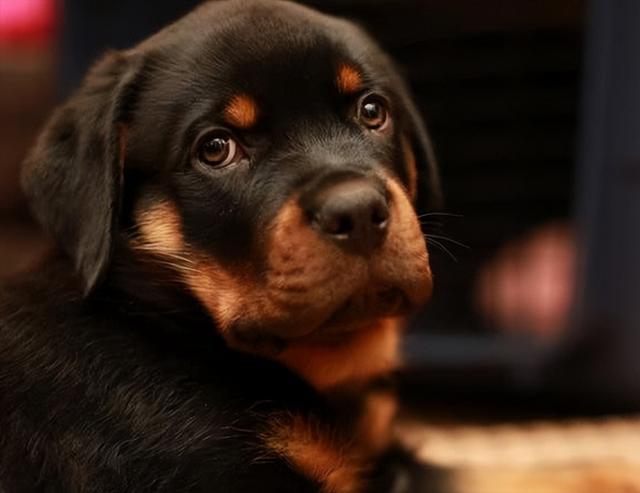 20221118083742_59007