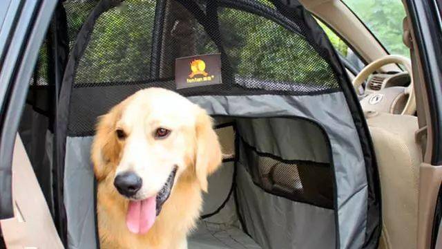 自驾游带狗狗可以住宾馆吗 - 警犬训练器材厂家 _警犬训练用品_工作犬训练用品-南京开久警犬装备-警犬训练器材厂家 _警犬训练用品_工作犬训练用品-南京开久警犬装备