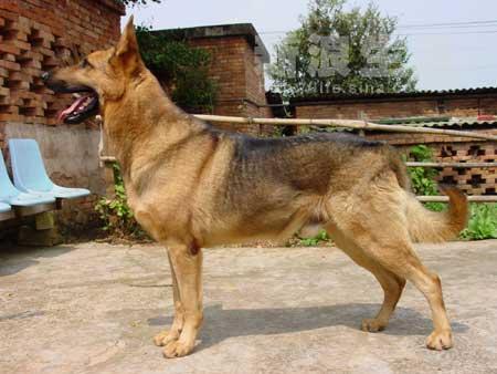 20221118100903_37113