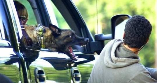 20221118133338_74088 20221118133338_74088