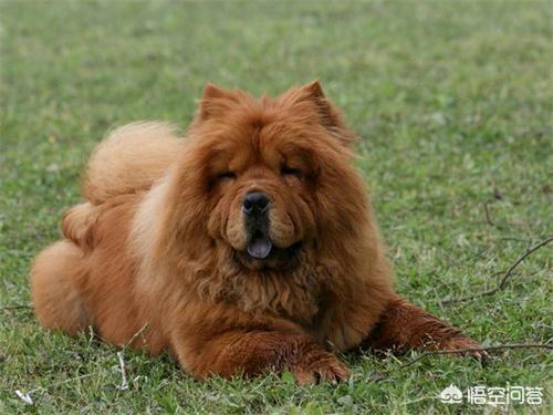 20221118135316_77948