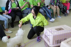 训狗师学费多少(宁波训狗学校学费)-警犬训练器材厂家 _警犬训练用品_工作犬训练用品-南京开久警犬装备