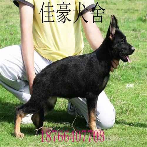 20221118152713_66985