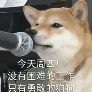 只有勇敢的狗狗表情包(没有辛苦的工作只有勇敢的狗狗表情包)-警犬训练器材厂家 _警犬训练用品_工作犬训练用品-南京开久警犬装备