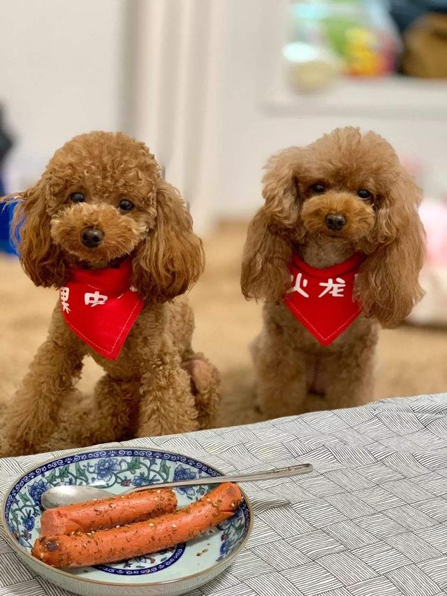 20221118175738_49730