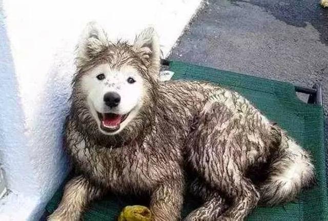 20221118175738_74222