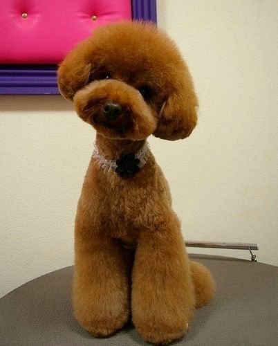 20221119085440_12365