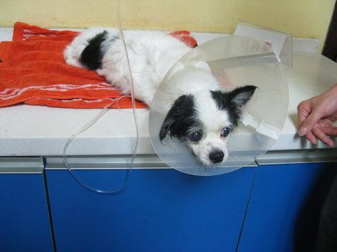 20221119094537_89257