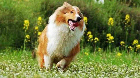 20221119113254_11088 20221119113254_11088