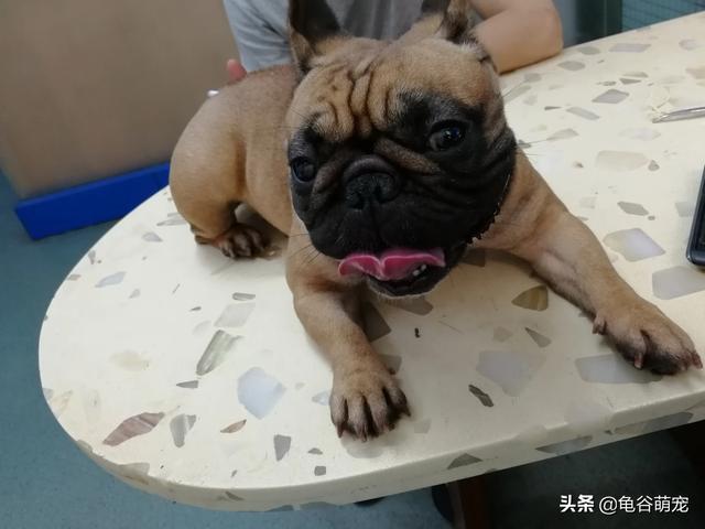 20221119115226_43859