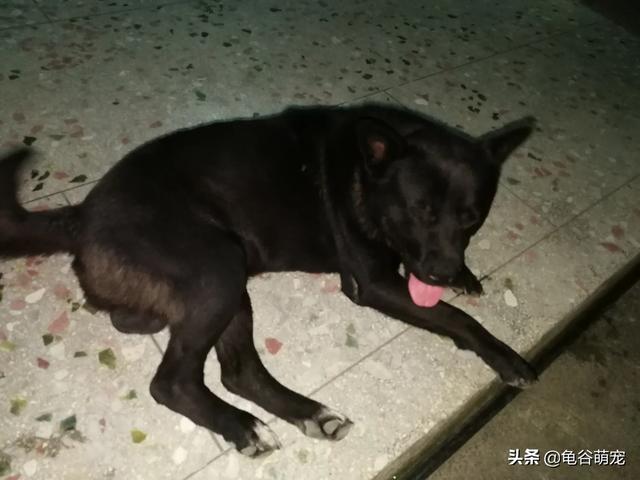 20221119115226_90860