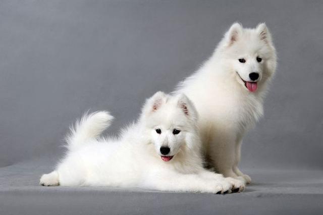 20221119135037_10666