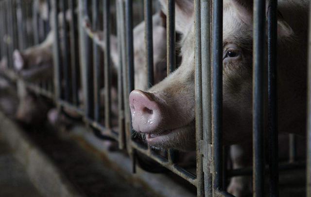 20221119142654_21644