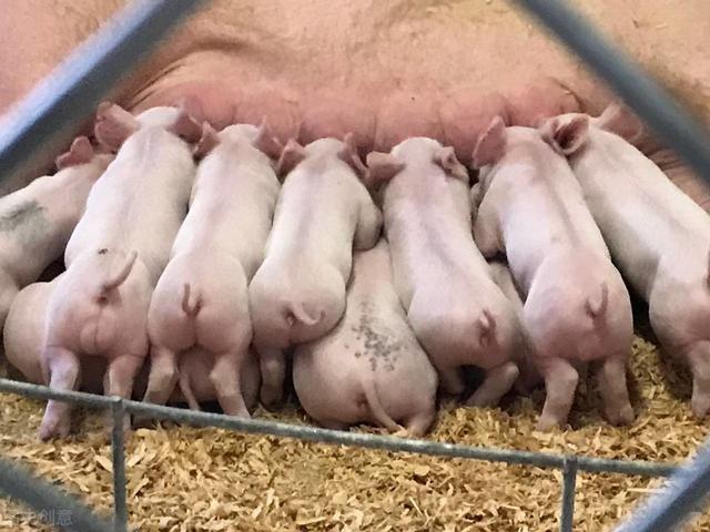 20221119142654_29290